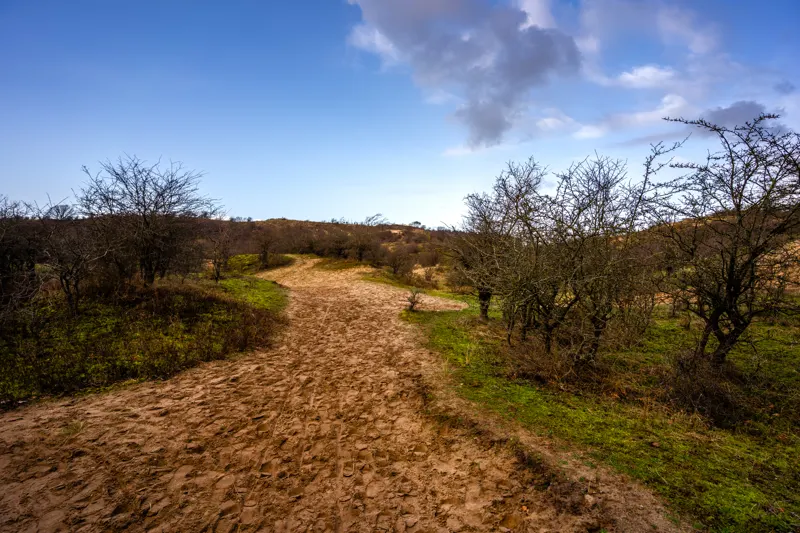 The Low Lands — Netherlands