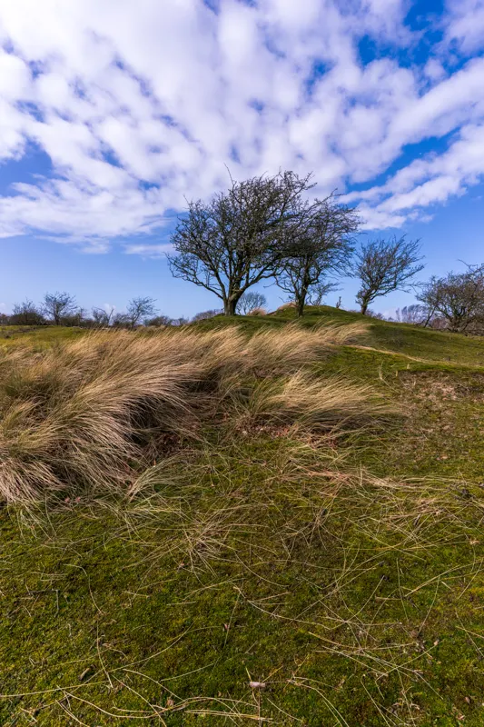 The Low Lands — Netherlands