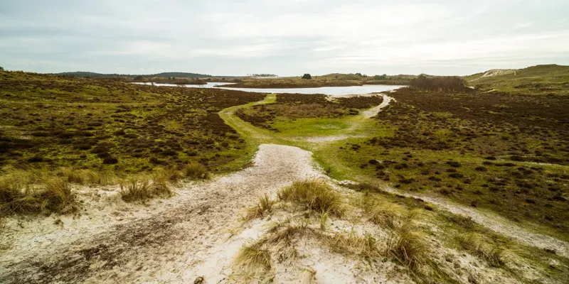 The Low Lands — Schoorl, Netherlands