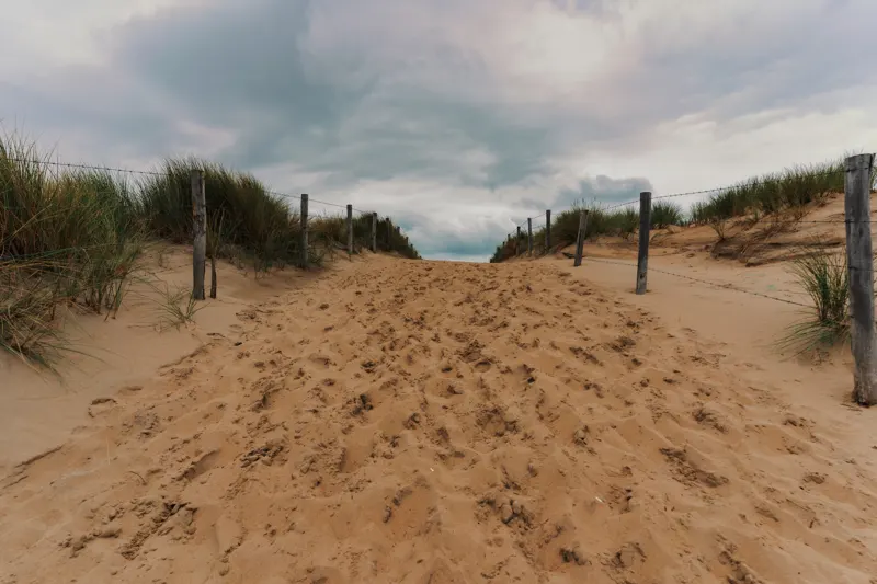 Late Summer Lowlands — Netherlands