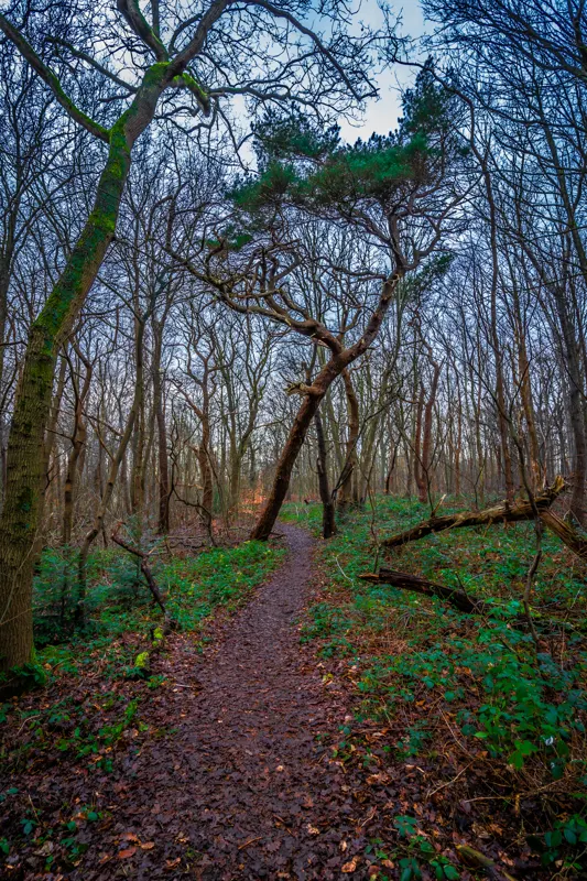 The Low Lands — Netherlands