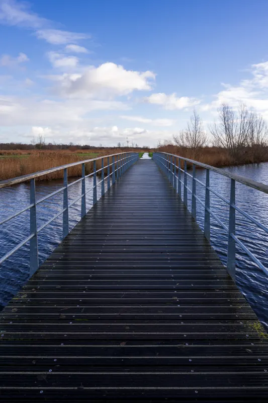 The Low Lands — Netherlands
