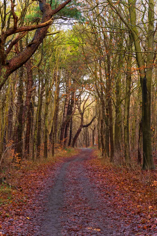 The Low Lands — Netherlands