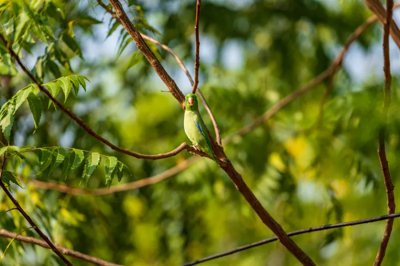 Colombia: Andes to Caribbean — Colombia