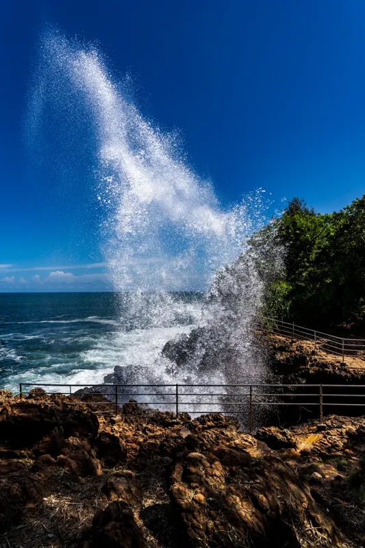 Serendib: Drums, Stupas and Salt Air — Dikwella, Sri Lanka