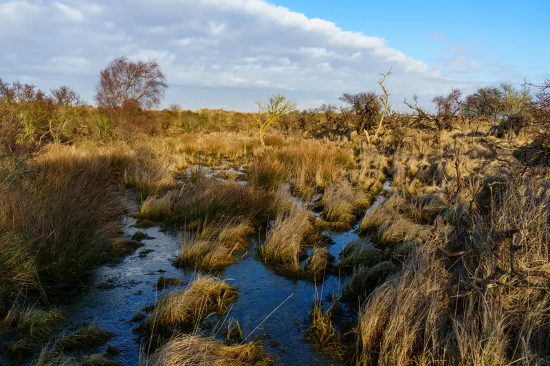 The Low Lands — Netherlands