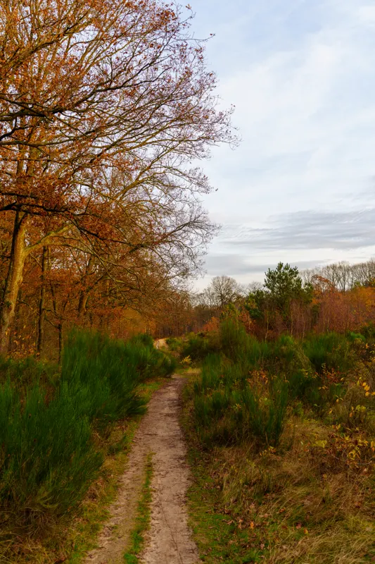 The Low Lands — Netherlands