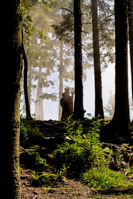 Rhine to the Black Forest — Black Forest, Germany