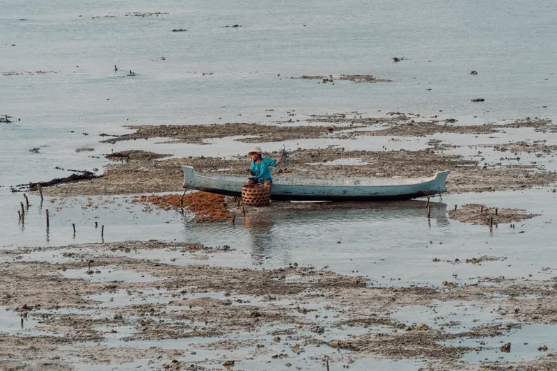 Tides of the Archipelago — Indonesia