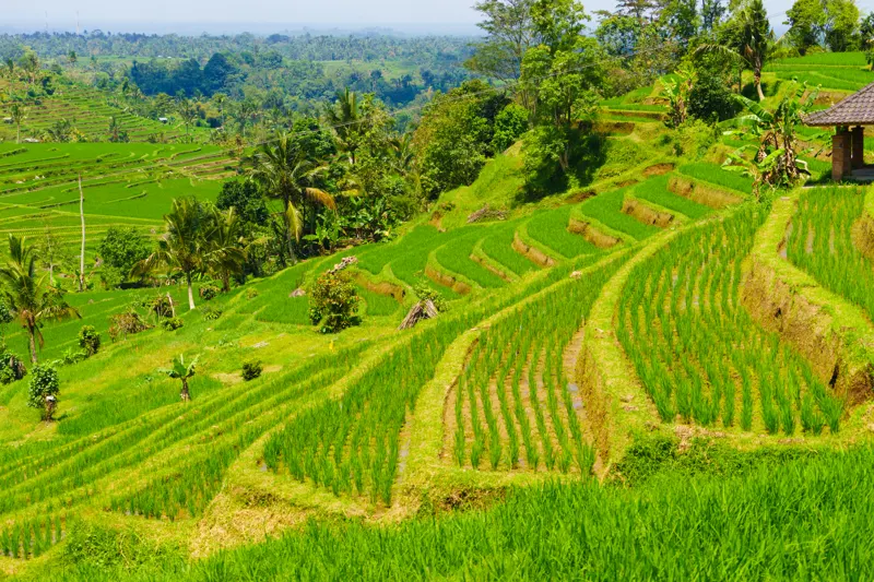 Tides of the Archipelago — Indonesia