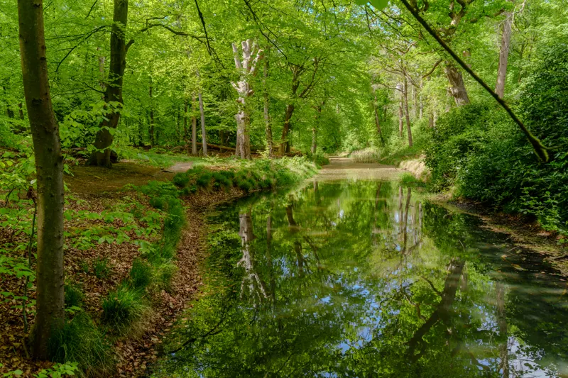 Late Summer Lowlands — Netherlands