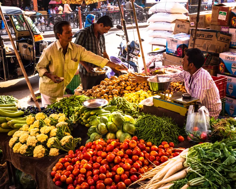 Golden Triangle to the Ganges — India