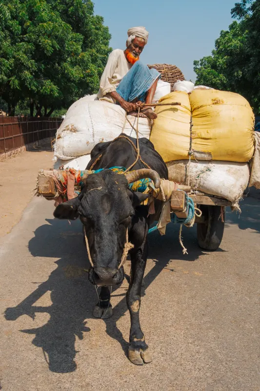 Golden Triangle to the Ganges — India
